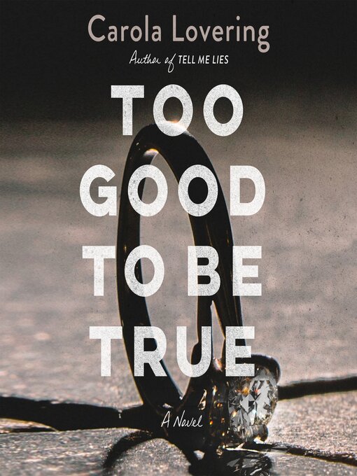 Carola Lovering创作的Too Good to Be True作品的详细信息 - 可供借阅